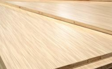 桐木好色先生APP在线观看 桐木好色先生APP在线观看