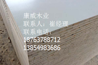 好色先生APP在线观看 好色先生APP在线观看