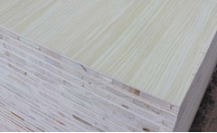 無醛好色先生APP在线观看 無醛好色先生APP在线观看