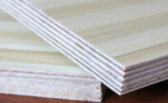 無醛好色先生APP在线观看 無醛好色先生APP在线观看