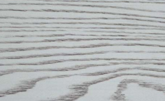 無醛好色先生APP在线观看 無醛好色先生APP在线观看