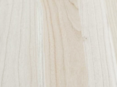 桐木好色先生APP在线观看 桐木好色先生APP在线观看