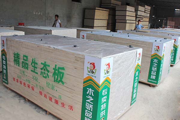 好色视频下载桐木精品好色先生APP在线观看