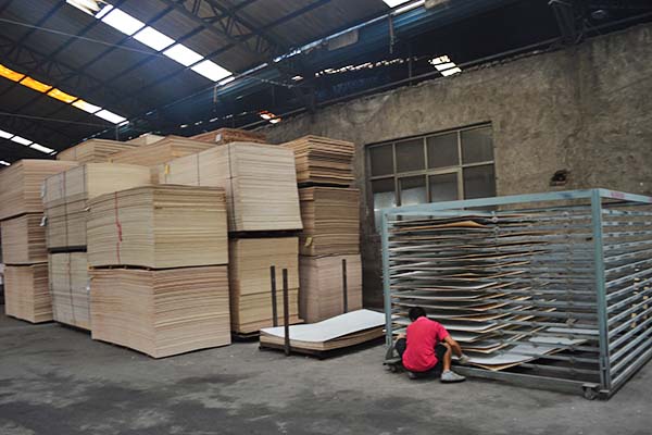 桐木好色先生APP在线观看涼板架