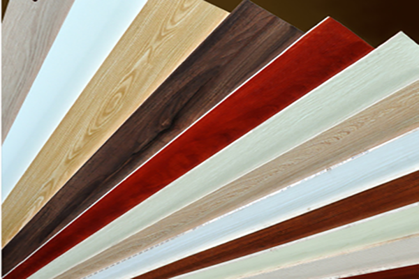 好色视频下载多種花色好色先生APP在线观看背板