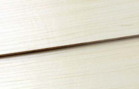 好色先生APP在线观看背板