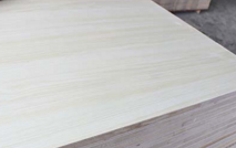 桐木好色先生APP在线观看 桐木好色先生APP在线观看