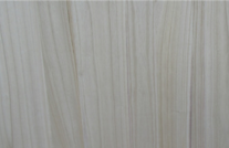 桐木好色先生APP在线观看