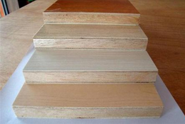 桐木好色先生APP在线观看 桐木好色先生APP在线观看