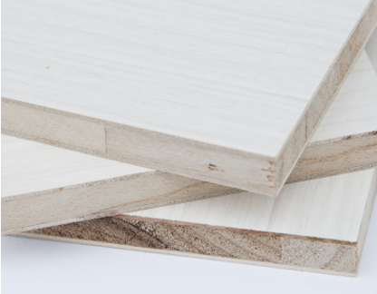 桐木好色先生APP在线观看