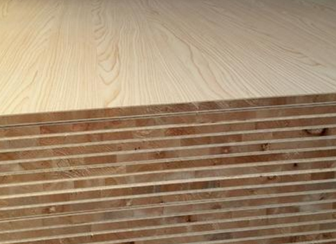 桐木好色先生APP在线观看