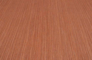 桐木好色先生APP在线观看