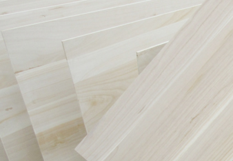 桐木好色先生APP在线观看