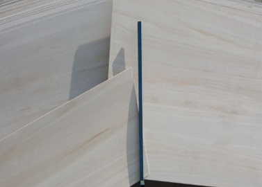 板材行業呼籲環保督查能否變“趕盡殺絕”為引導執行?