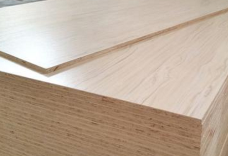 桐木好色先生APP在线观看