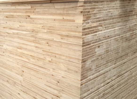 桐木好色先生APP在线观看廠家