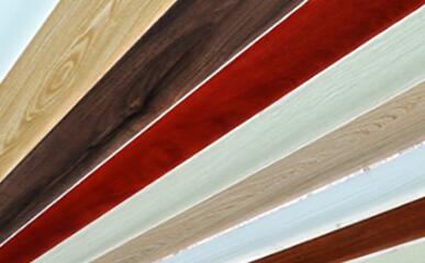 好色先生APP在线观看背板