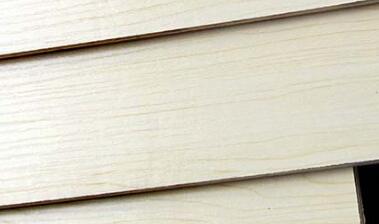 好色先生APP在线观看背板