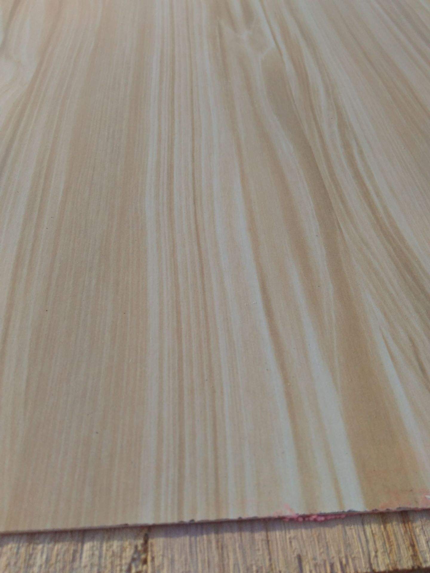 桐木好色先生APP在线观看