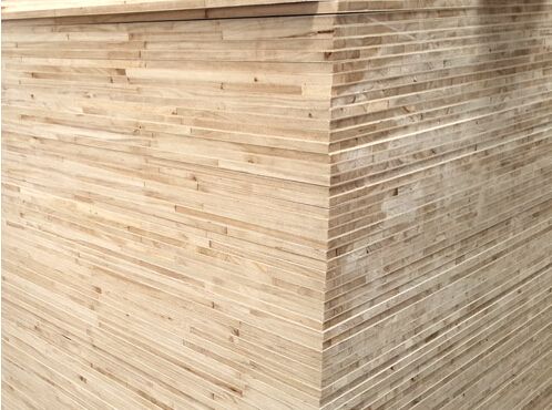 桐木好色先生APP在线观看