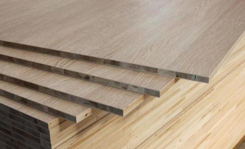 桐木好色先生APP在线观看