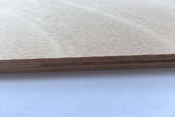 生態好色先生污版