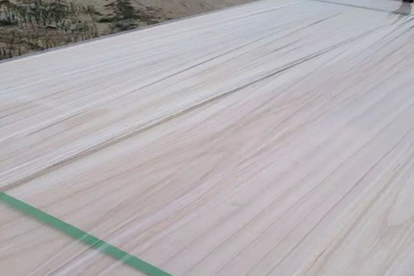 桐木好色先生APP在线观看