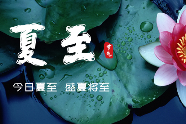 好色视频下载木業 | 盛夏已至,滿目繁華